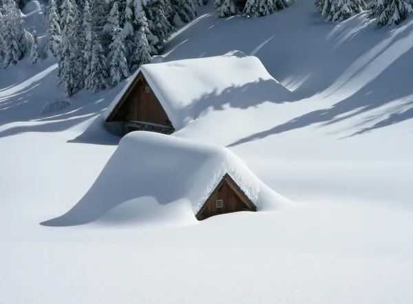 Cabins covered with snow
